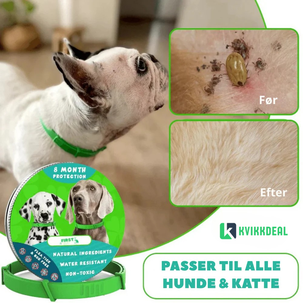 WoofliGuard™ - Naturlig beskyttelse mot flått og skadedyr