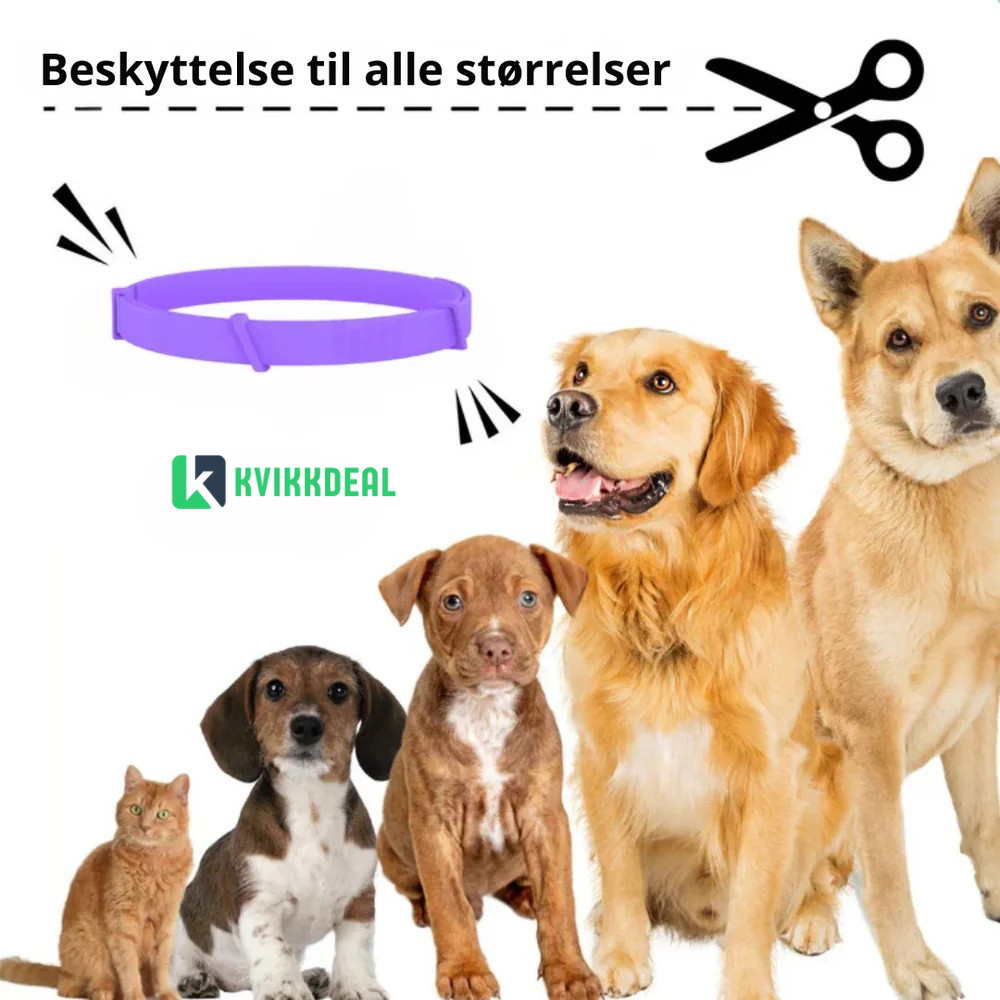 WoofliGuard™ - Naturlig beskyttelse mot flått og skadedyr