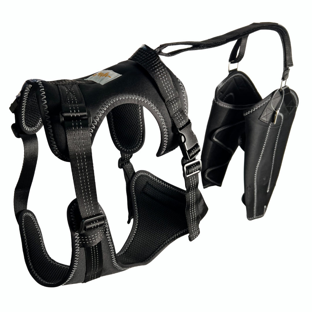 Kneestøtte sele for hunder