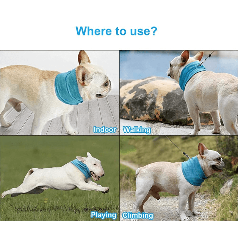 Avkjølende Kjølehalsbånd For Kjæledyr