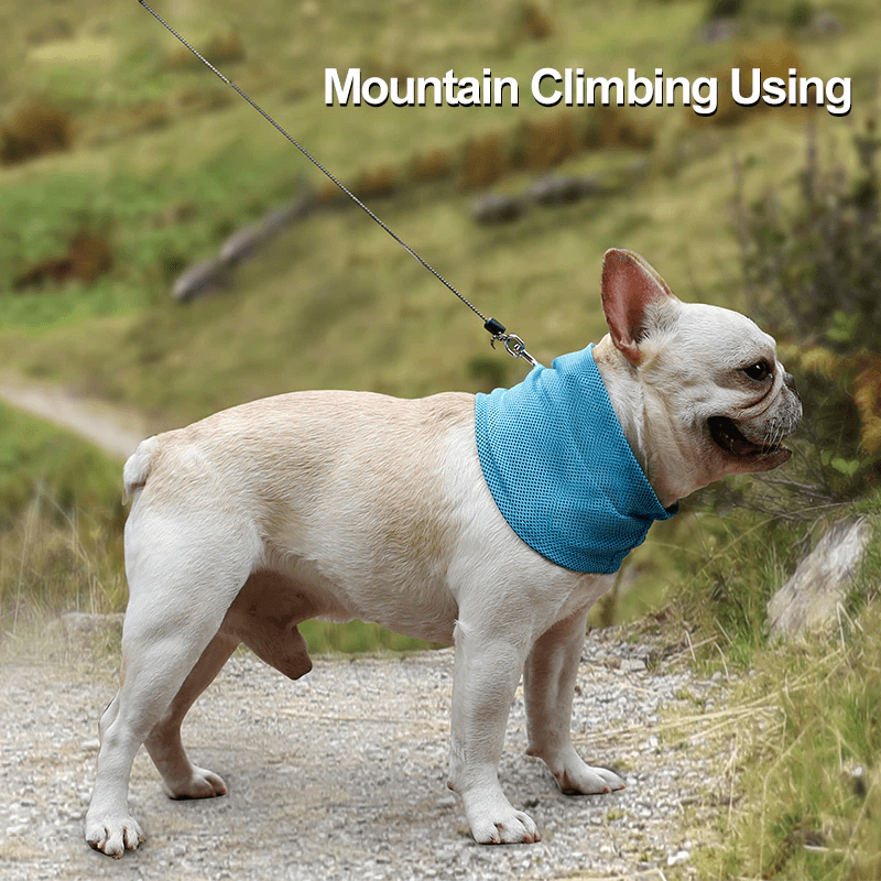 Avkjølende Kjølehalsbånd For Kjæledyr