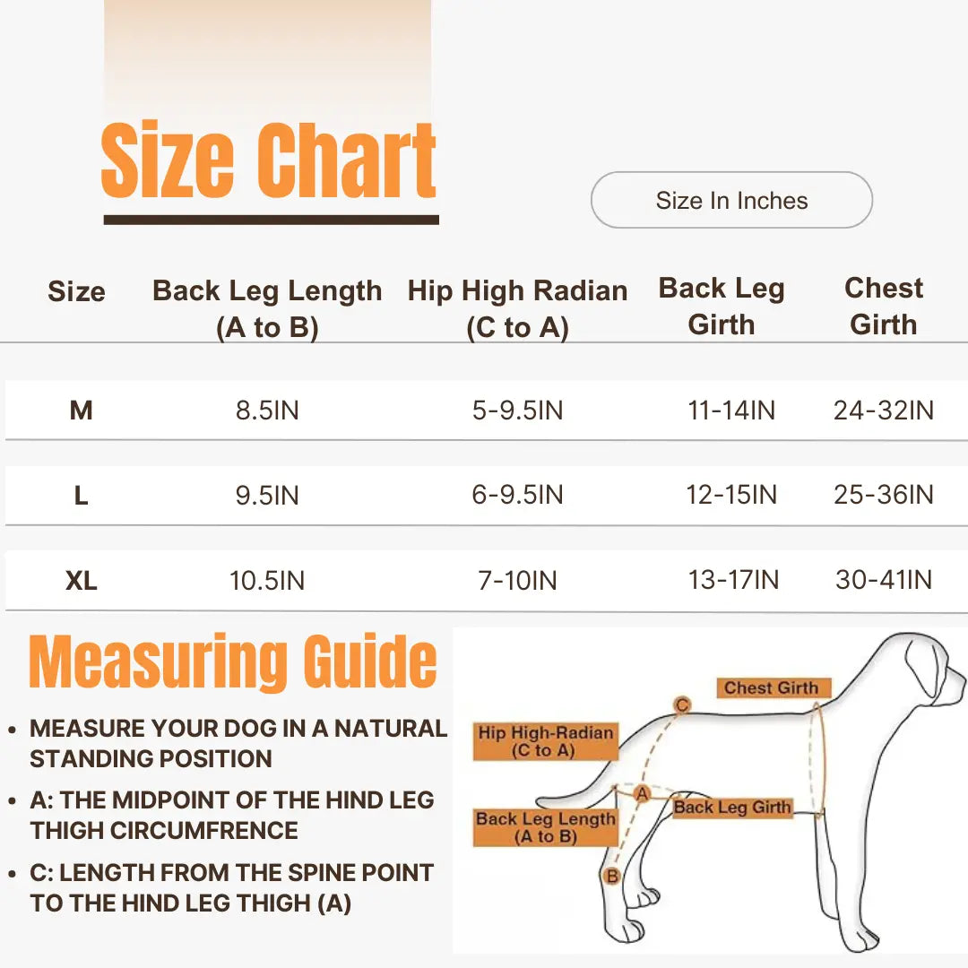 Kneestøtte sele for hunder