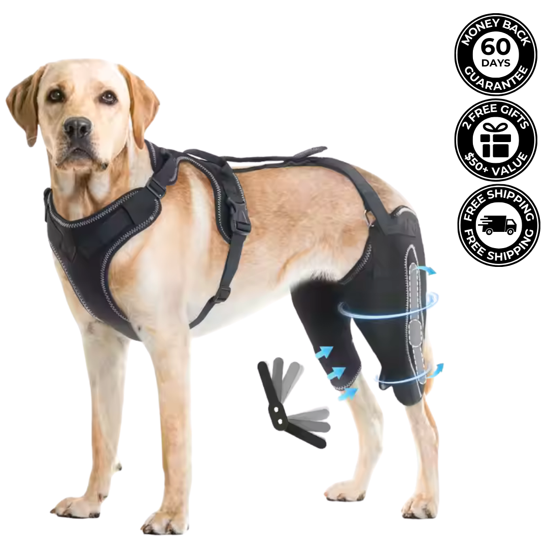 Kneestøtte sele for hunder