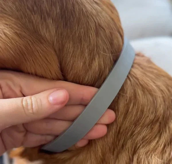 Woofli™ Flåtthalsbånd - Naturlig beskyttelse mot flått og skadedyr