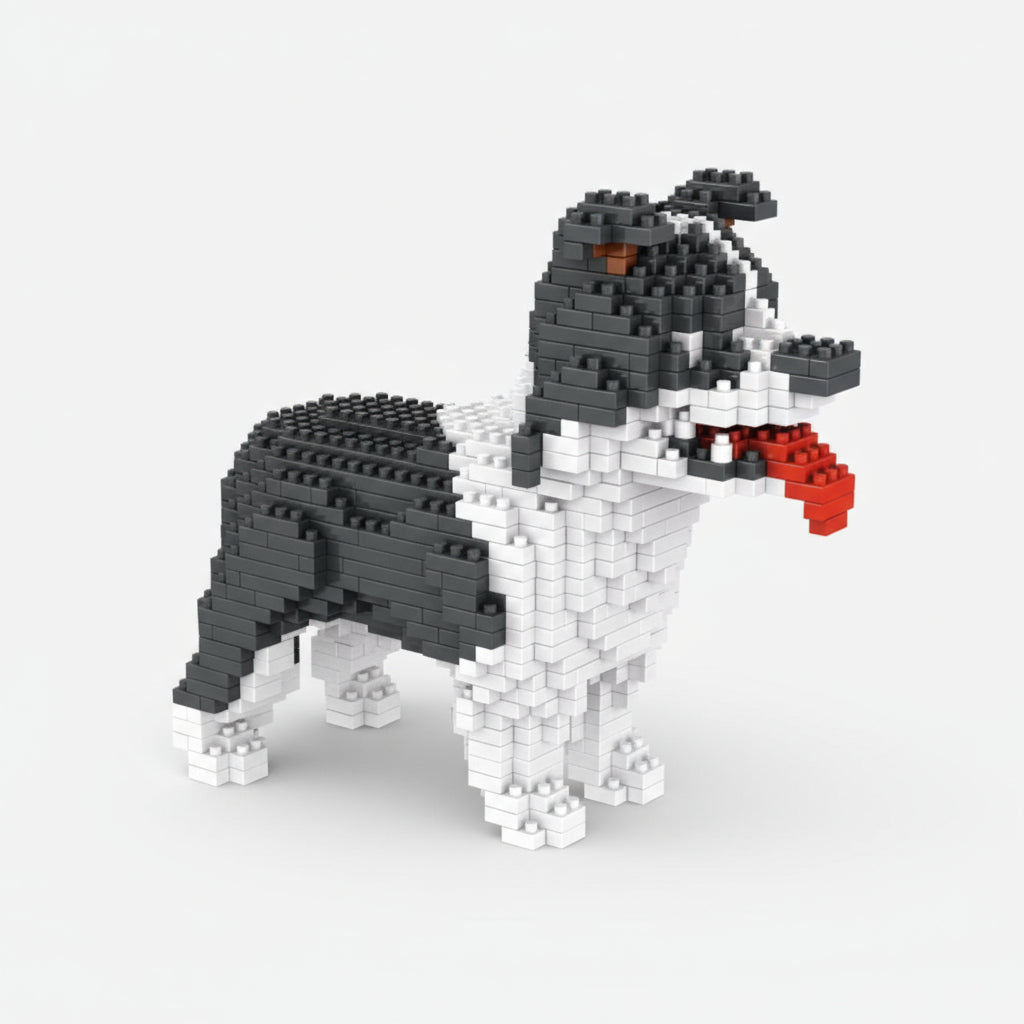 Border Collie | Byggeklosser