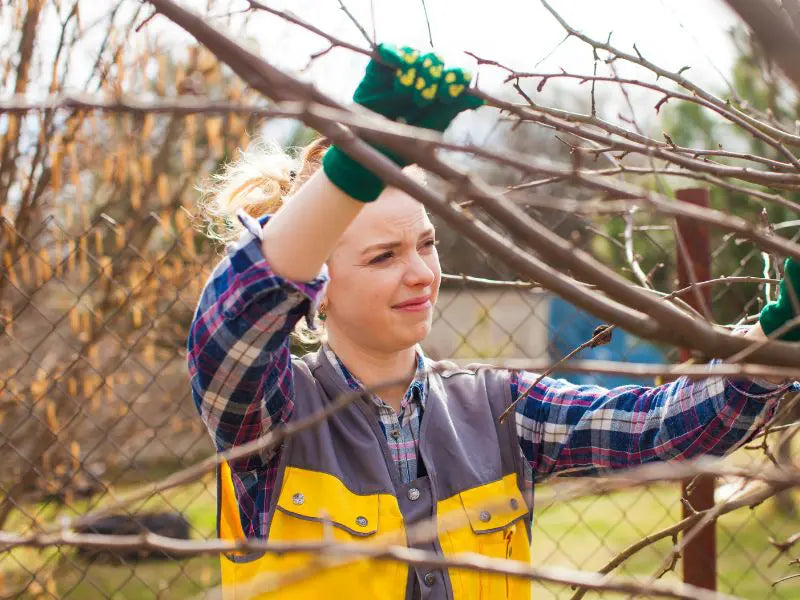 Elektrisk Sekatør med Litiumbatteri 20v