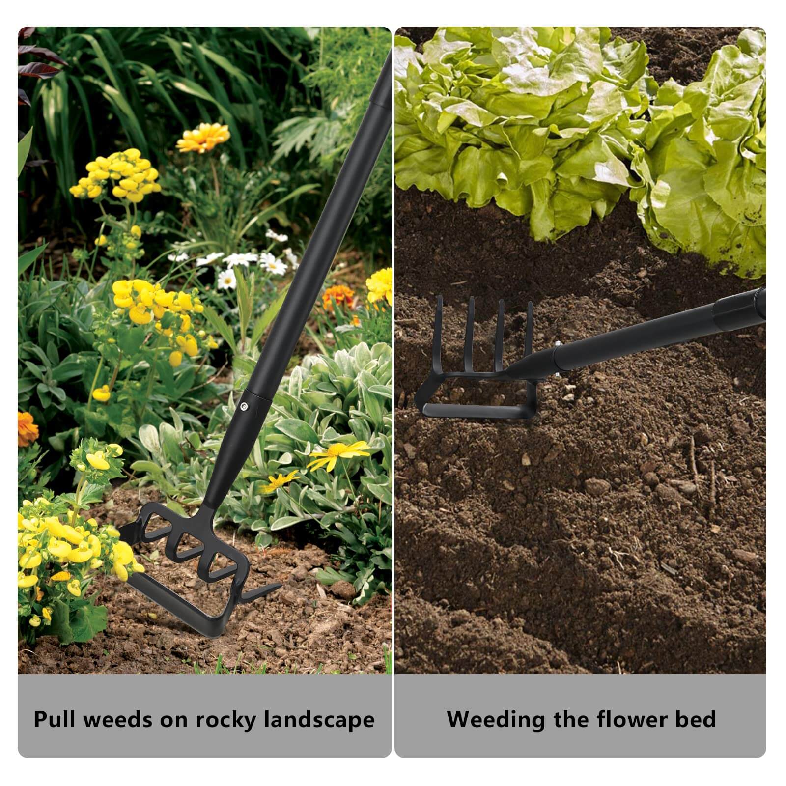 2-i-1 Hakke og Rive Hageverktøy