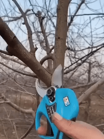 Elektrisk Sekatør med Litiumbatteri 20v