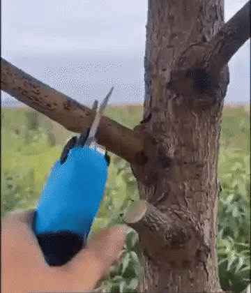 Elektrisk Sekatør med Litiumbatteri 20v