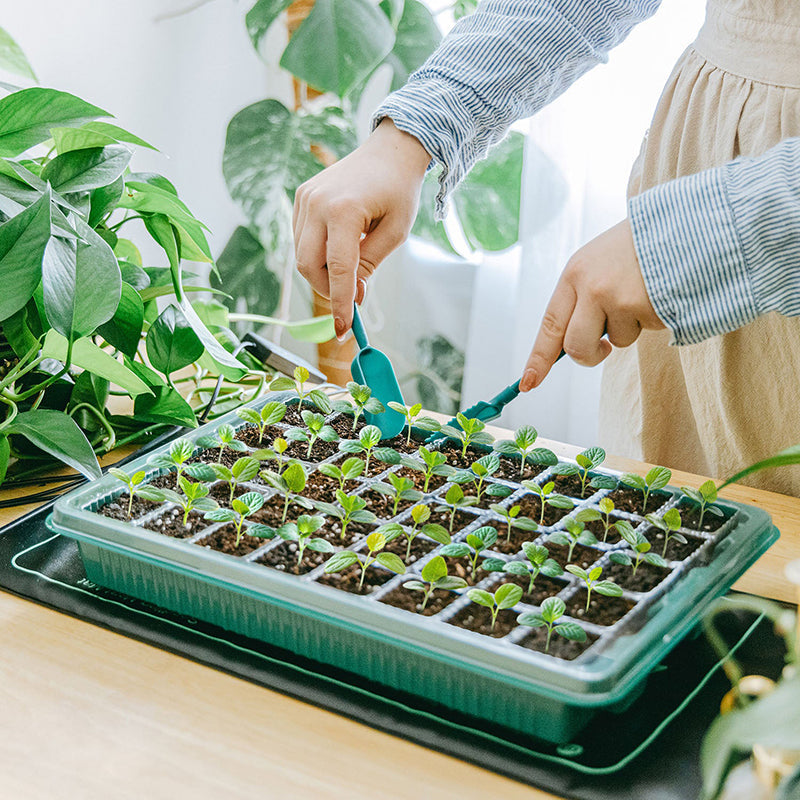 Alt-i-ett Frøstartssett