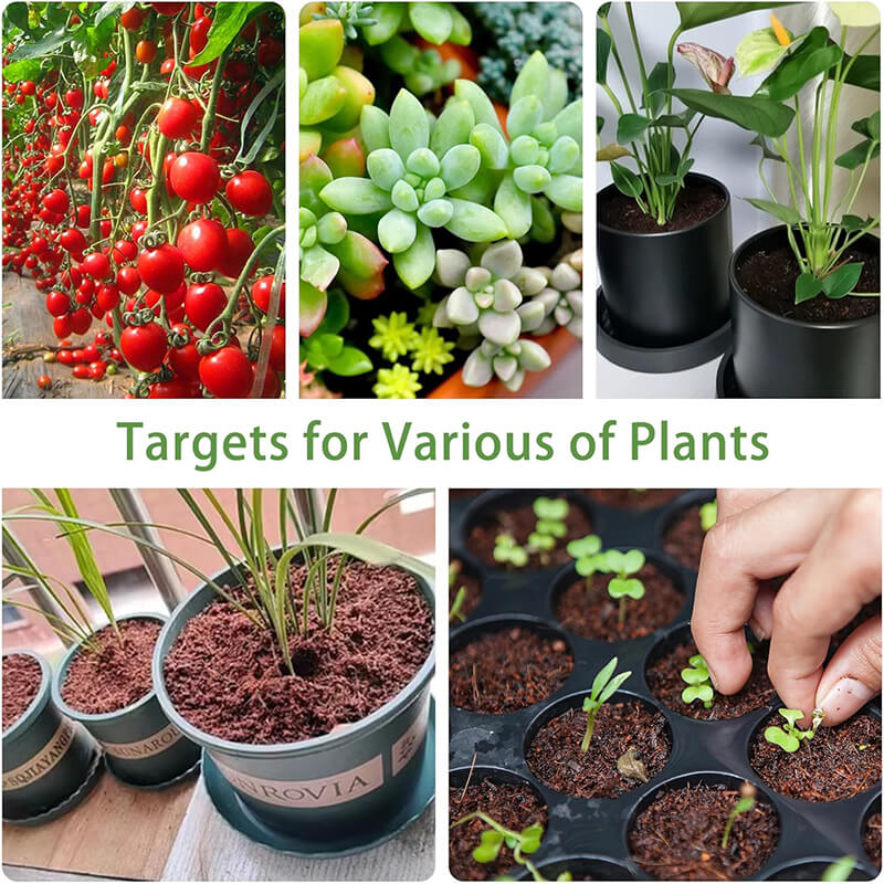 Premium økologiske kokosnøttfiberklosser