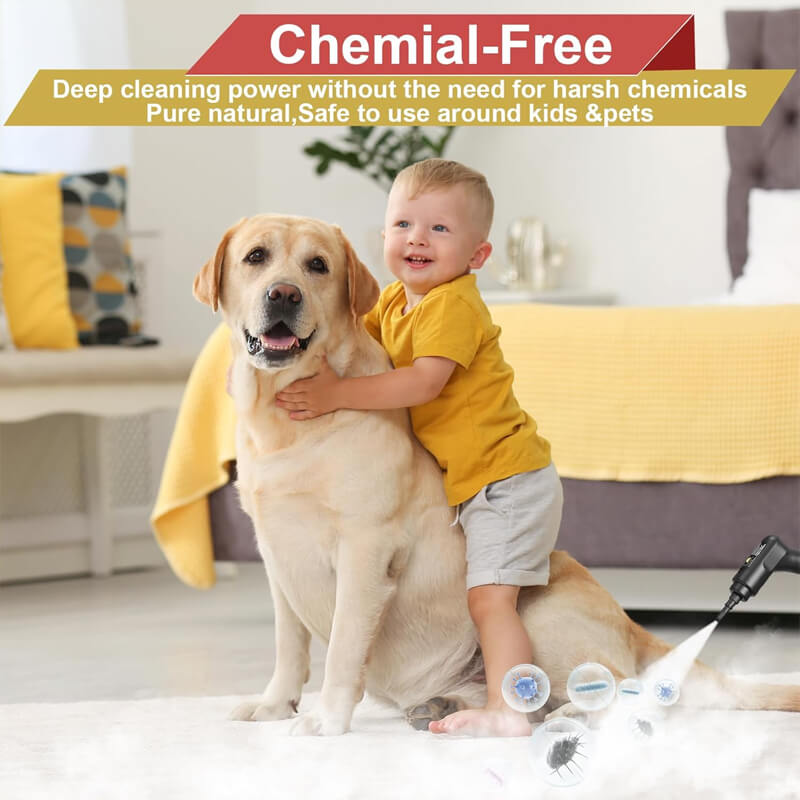 2500W Høytrykk Damprenser med Hansker