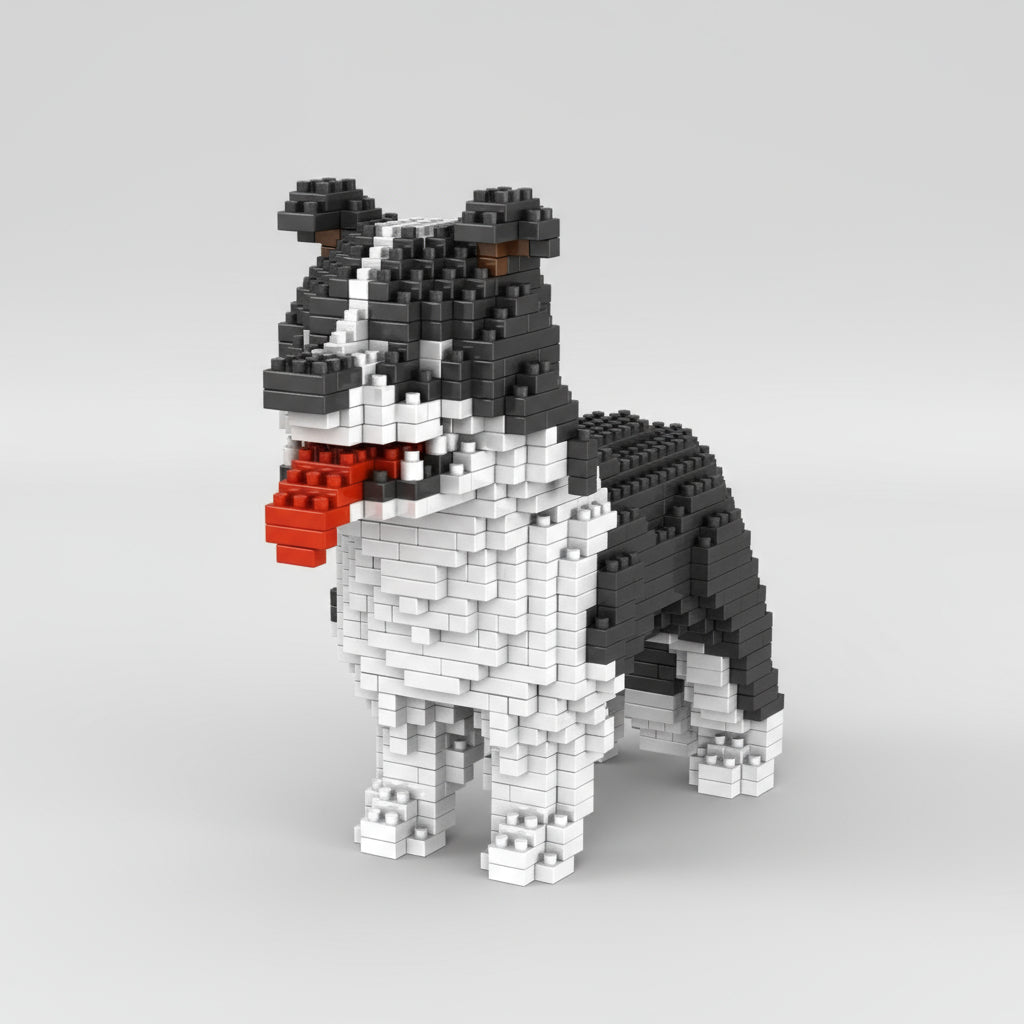 Border Collie | Byggeklosser