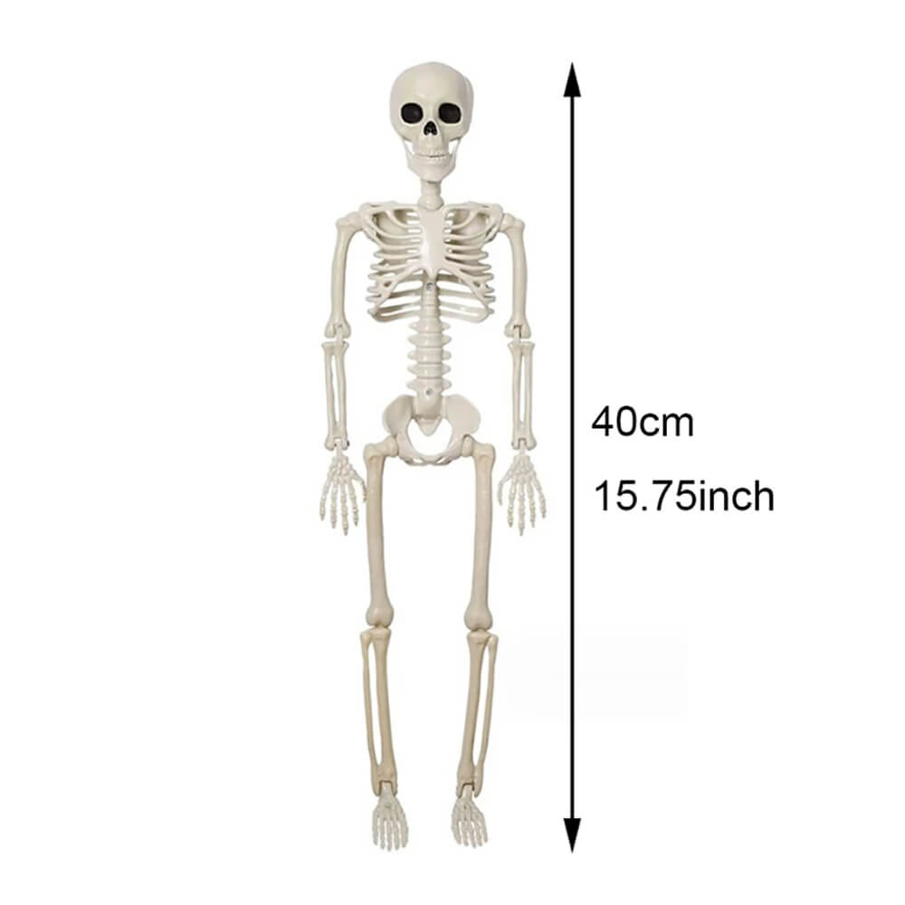 Halloween Dekorasjon: Menneskeskjelett 40 cm – Realistisk Skjelett for Skremmende Dekor