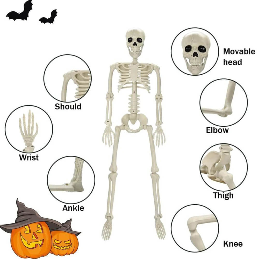 Halloween Dekorasjon: Menneskeskjelett 40 cm – Realistisk Skjelett for Skremmende Dekor